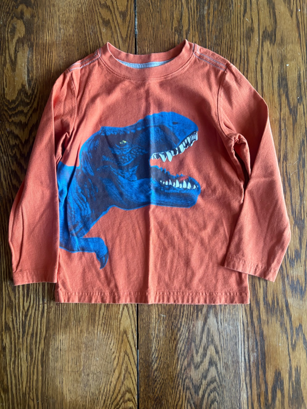 Tea Collection Orange Crewneck Tee with Light Trim